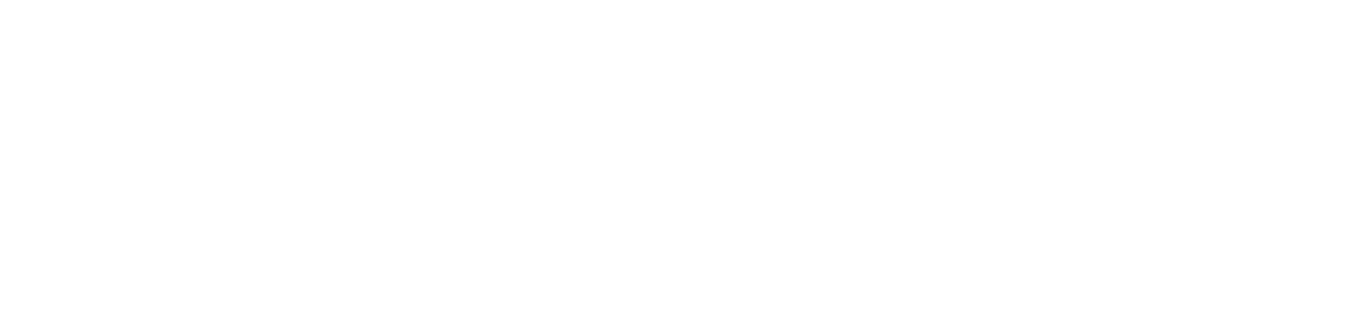 WitFIND Logo